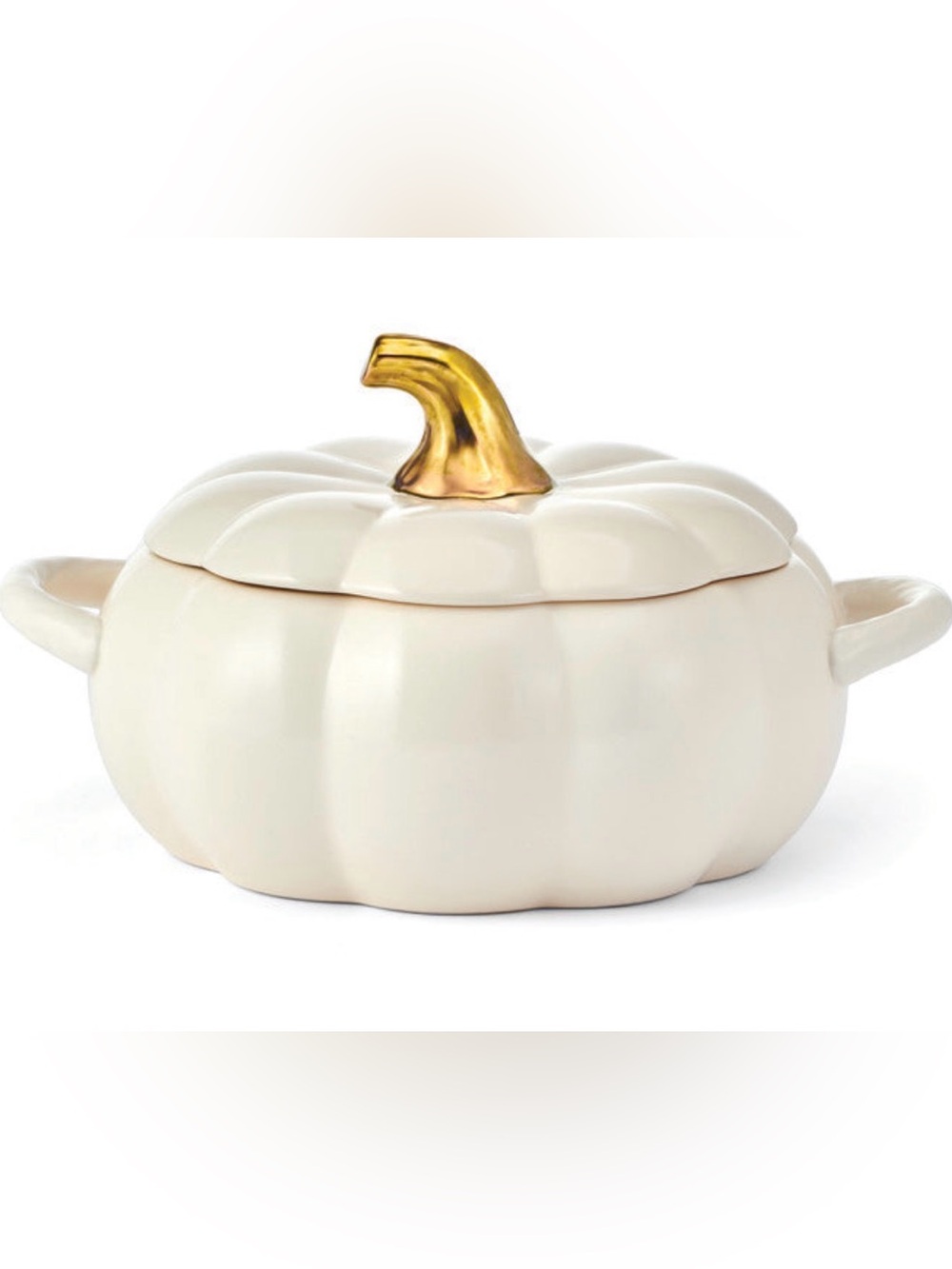 NWT Pfaltzgraff Ceramic Cream Pumpkin Baking Dish with Gold Stem and lid 2 qt